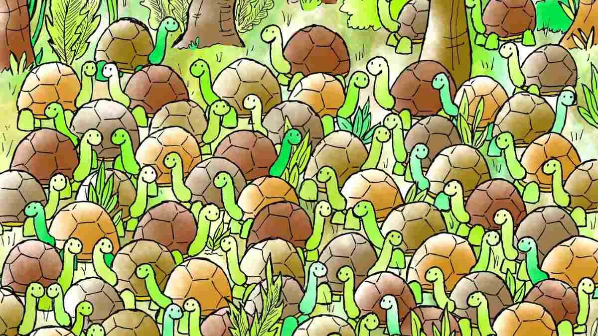 Can you find the hidden snake?
