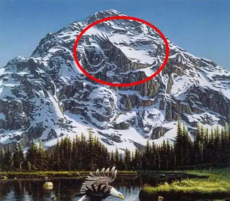 hidden optical illusions with answers