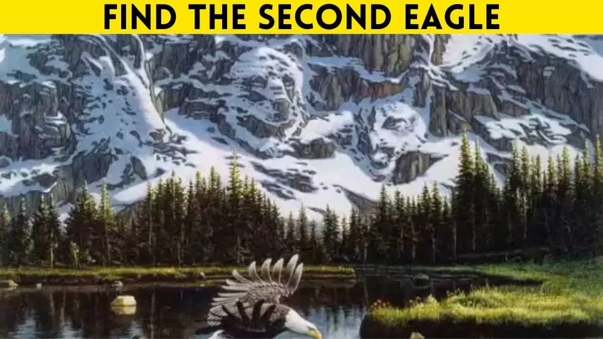 Spot the second eagle.