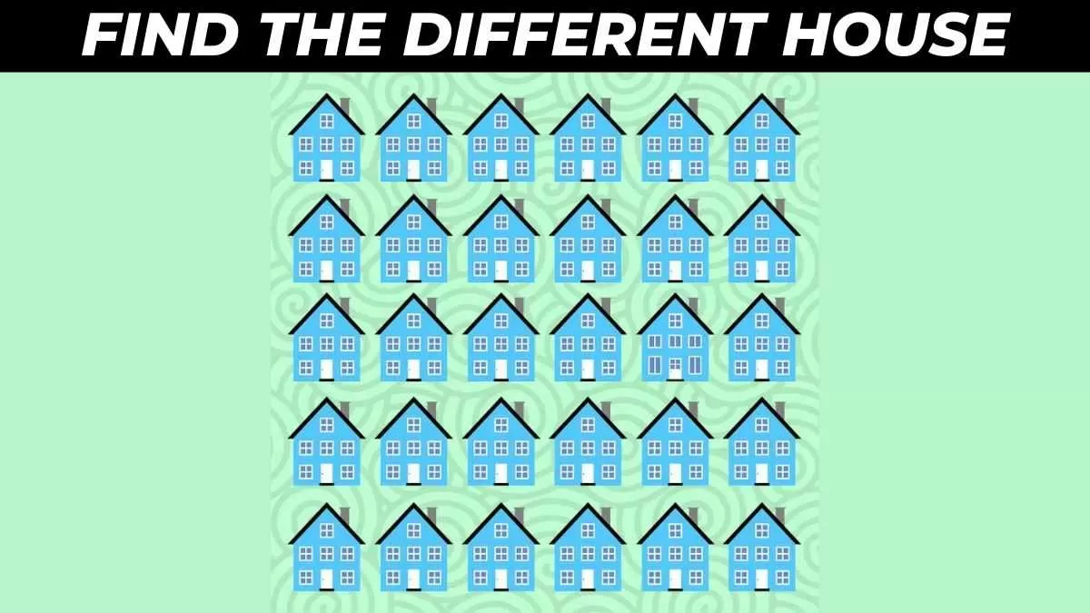 Find the different house
