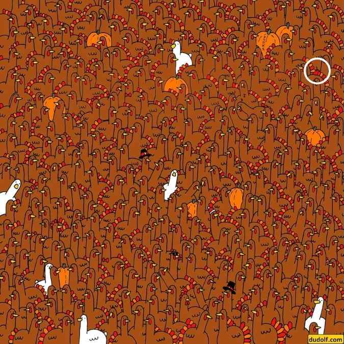 hidden optical illusions with answers