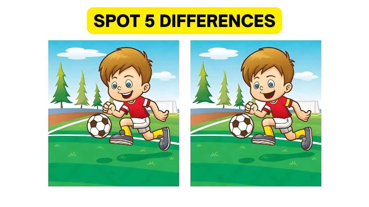 Spot 5 differences in 17 seconds