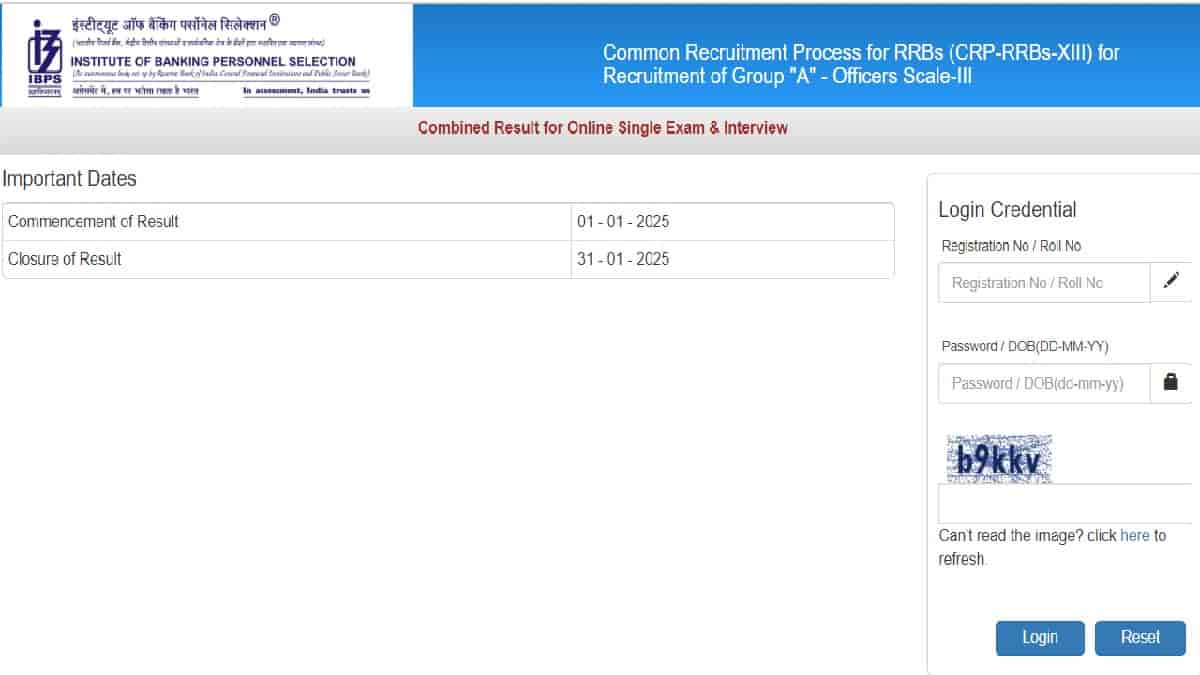 IBPS RRB Provisional Allotment Result 2024 Released at ibps.in: Download Clerk and Officer Selection List