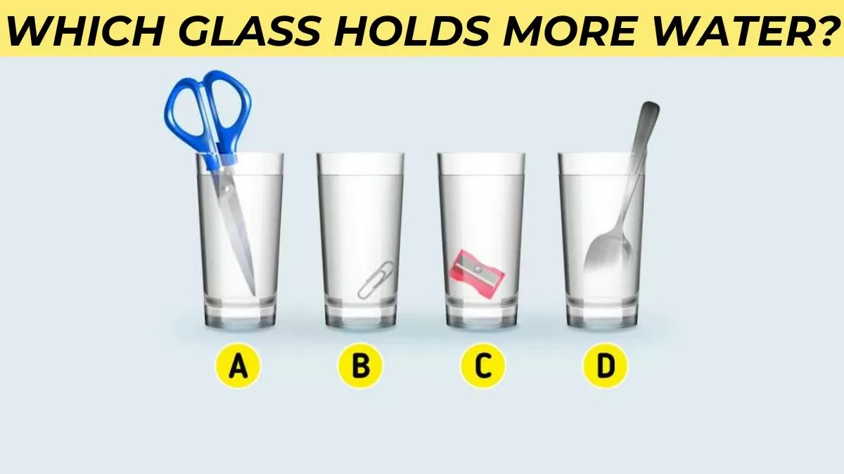 Which glass holds more water?