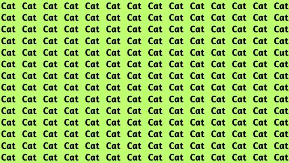 Optical Illusion IQ Test: Can You Spot The Word 'Cut' Hidden Among Cats In 5 Seconds?