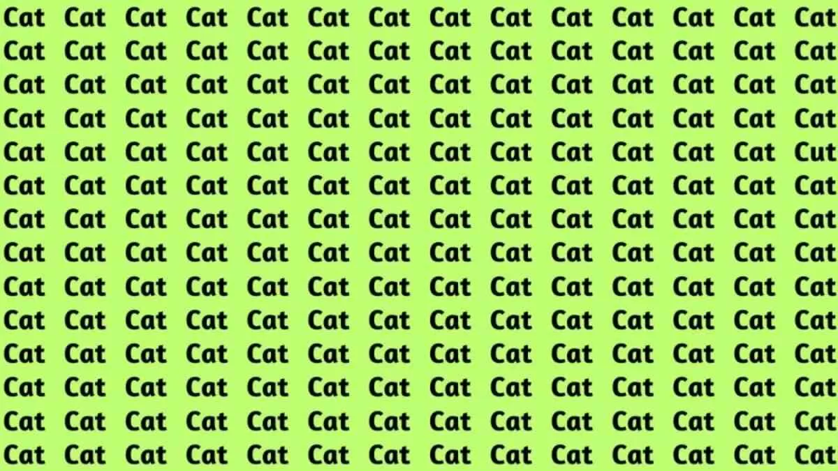 Spot the word ‘Cut’ hidden among ‘Cats’. 