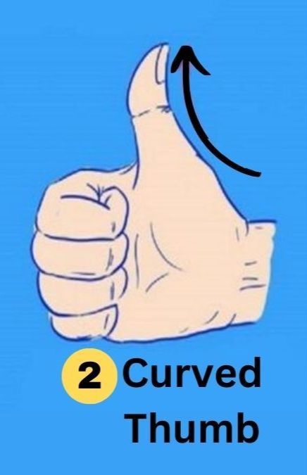 Curved Thumb Personality Traits