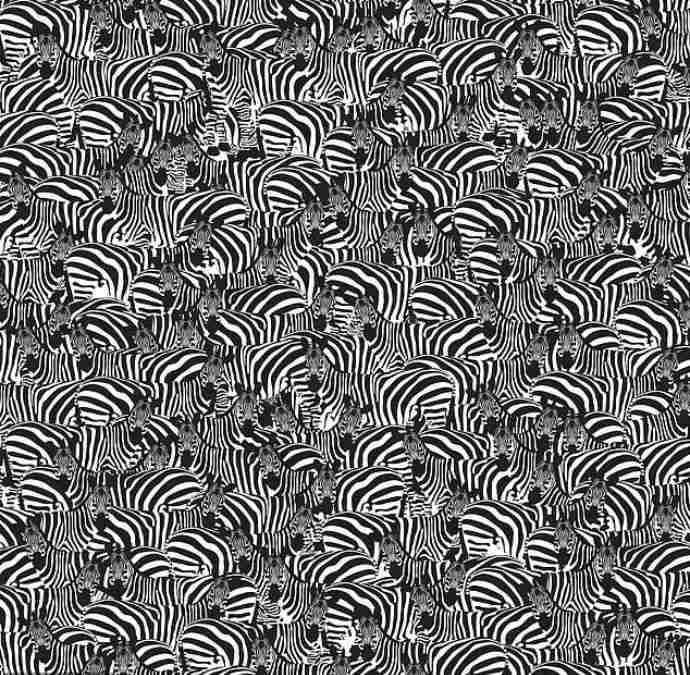 hidden optical illusions with answers