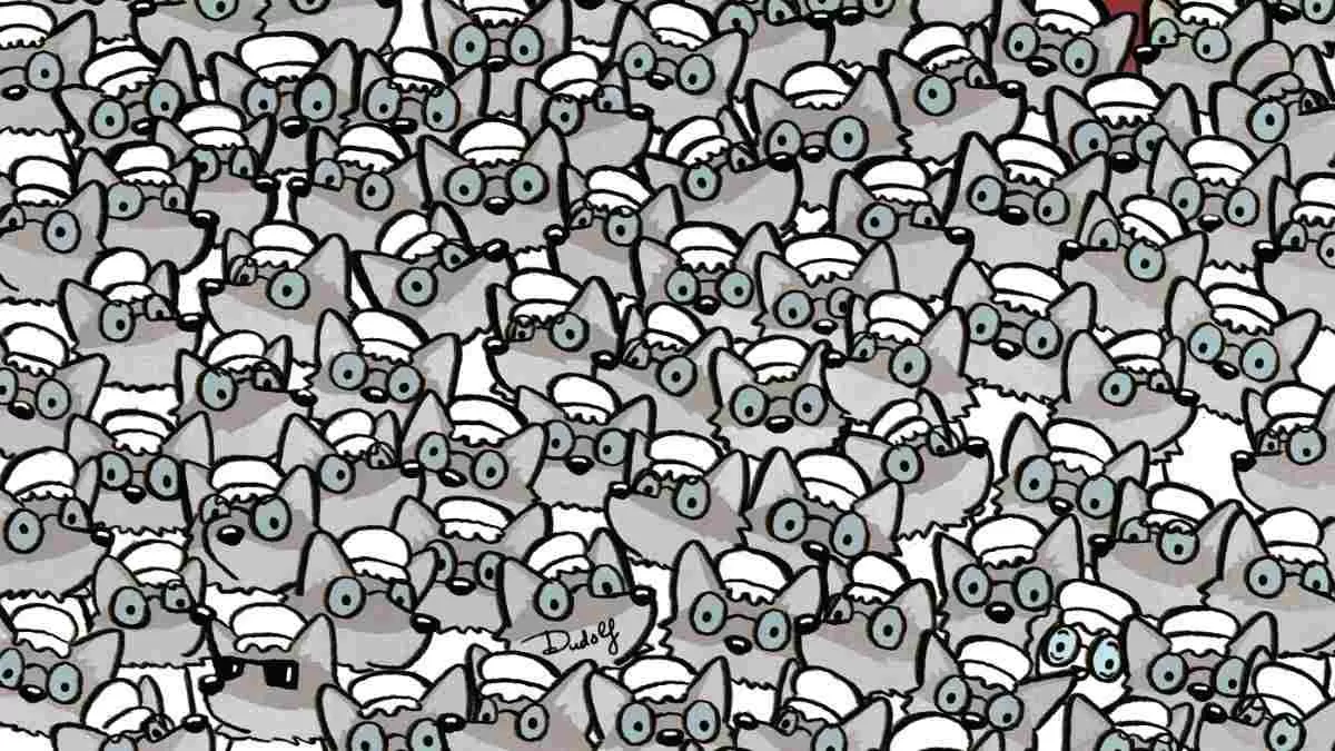 Spot The Grandma.