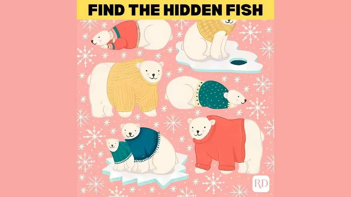 Find the hidden fish