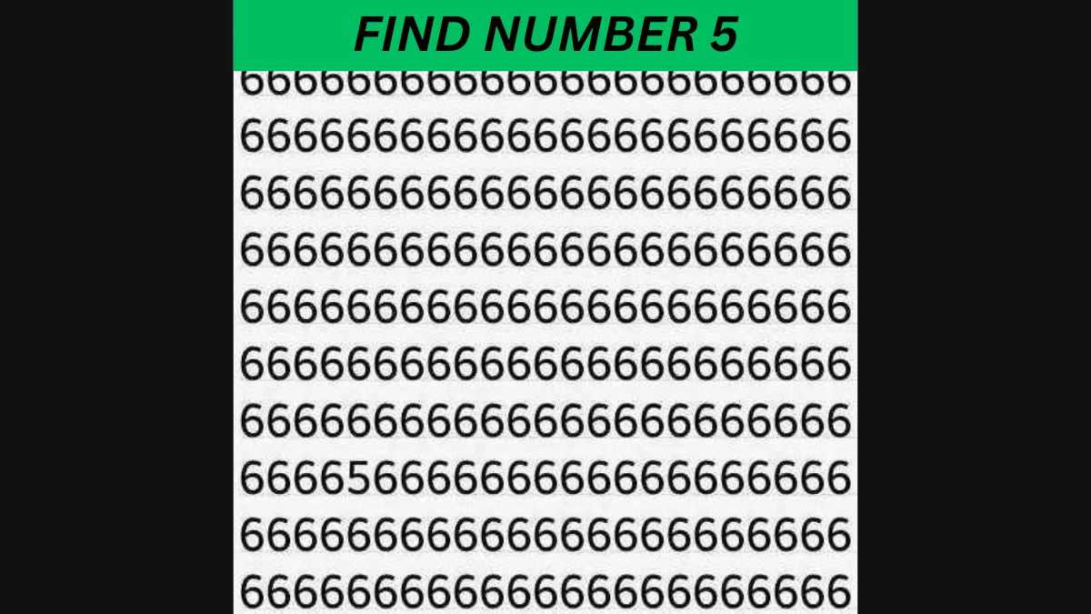 Picture Puzzle Challenge: Only those with 20/20 vision can find 5 among 6's in 4 seconds!