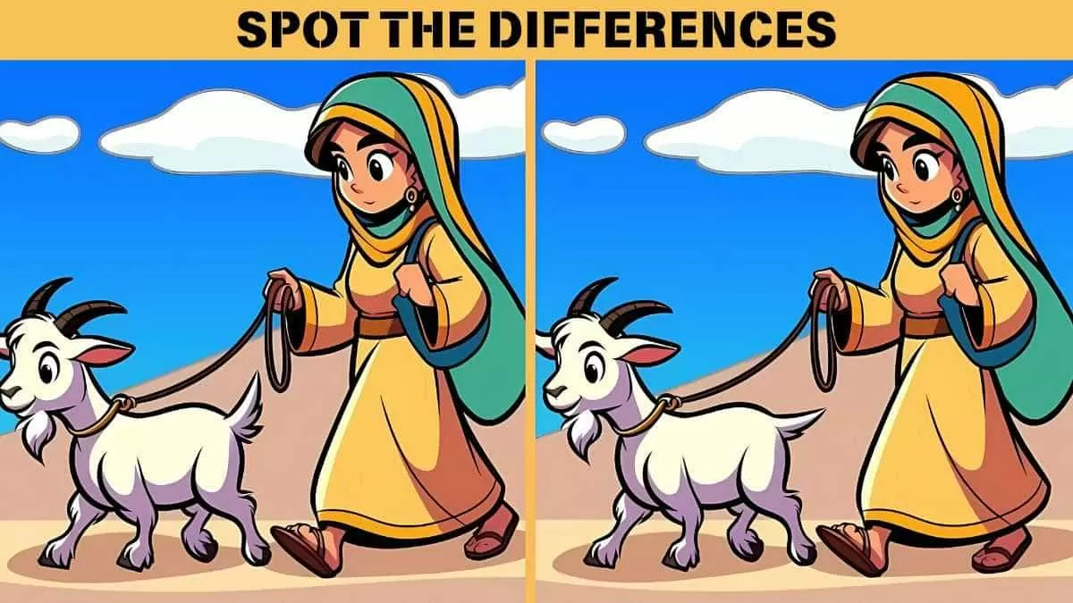 Spot 3 differences in 12 seconds