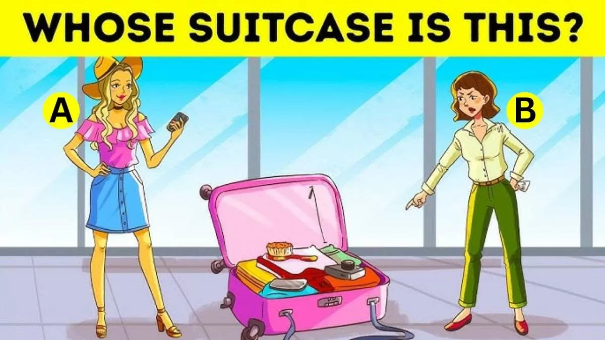 Spot Whose Suitcase Is This?