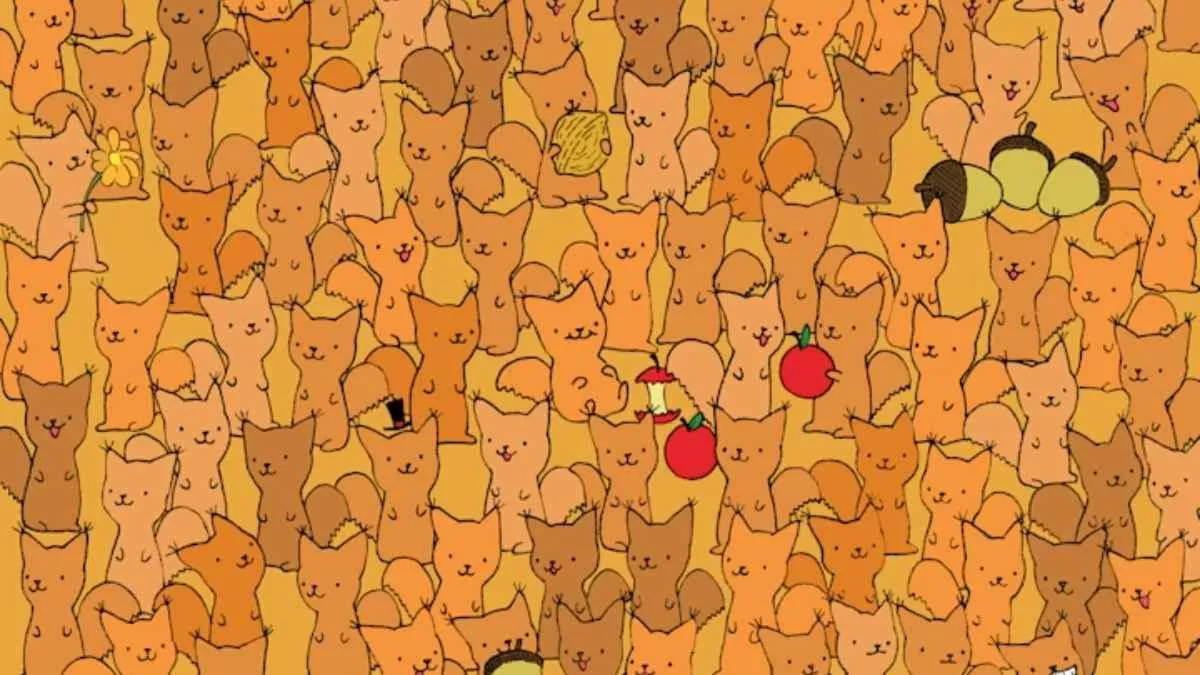 Spot The Mouse.