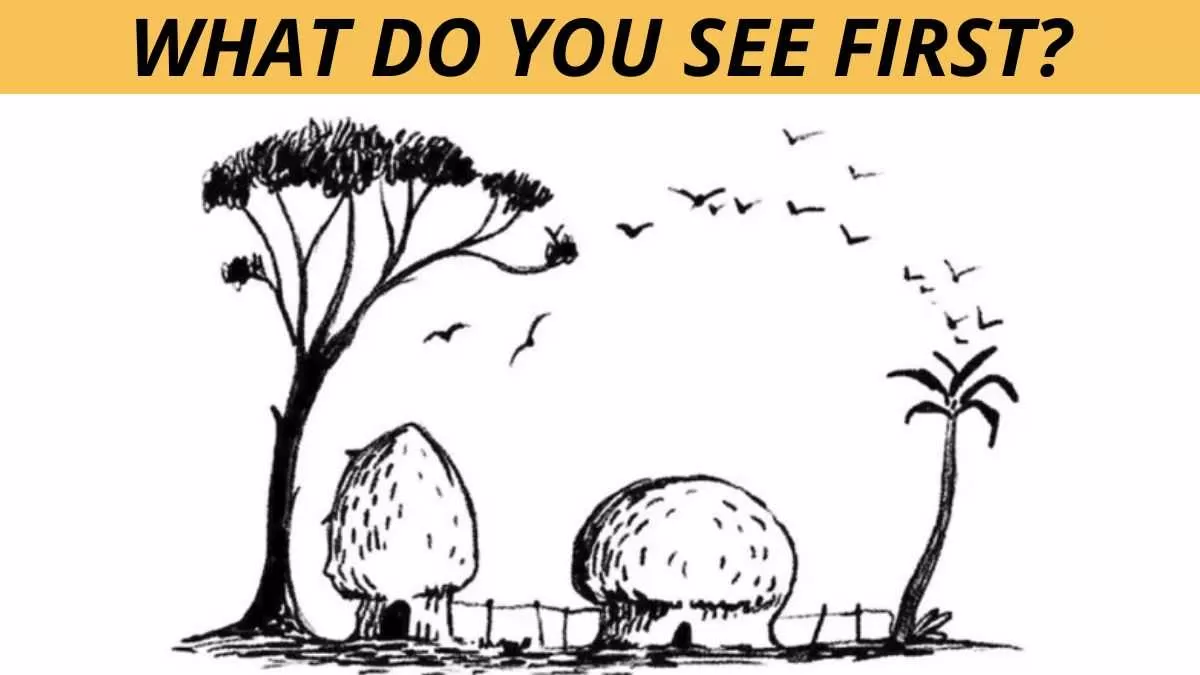 Optical Illusion Personality Test: Are you loyal or traditional?