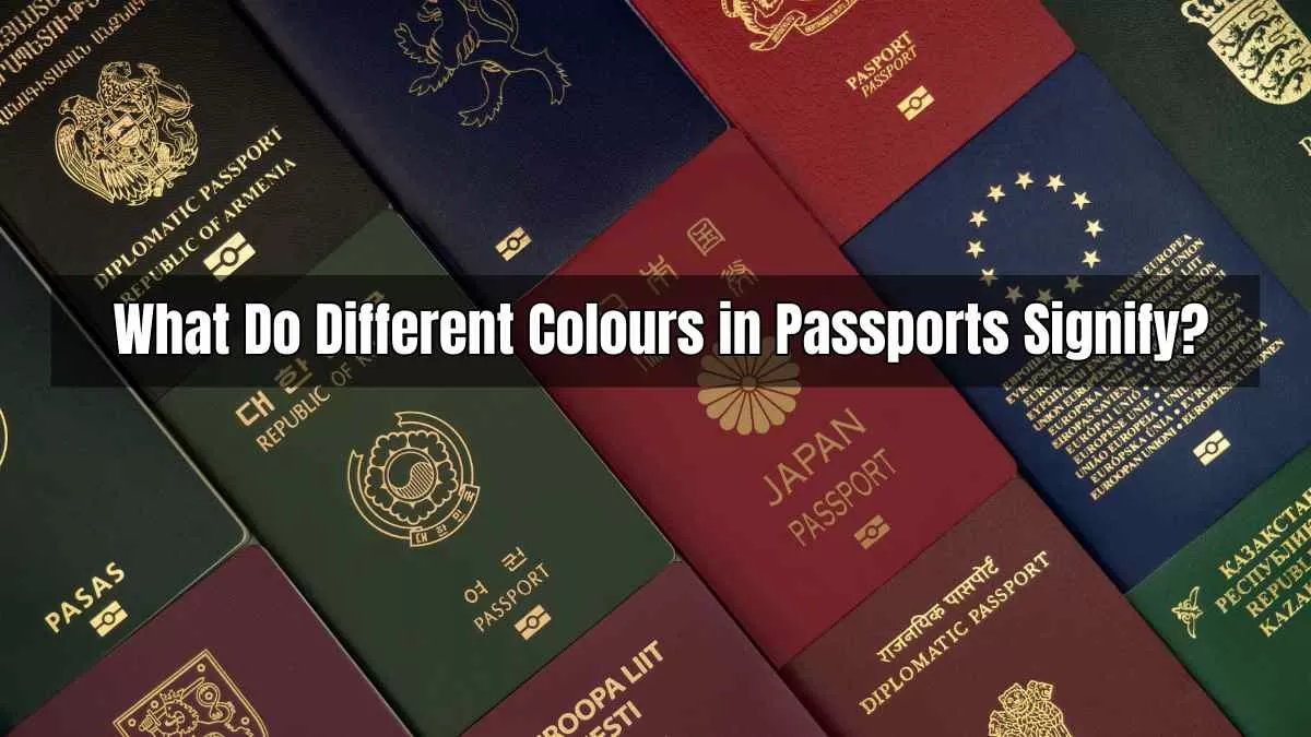 What Do Different Colours in Passports Signify?