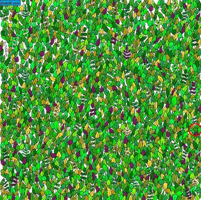 hidden optical illusions with answers