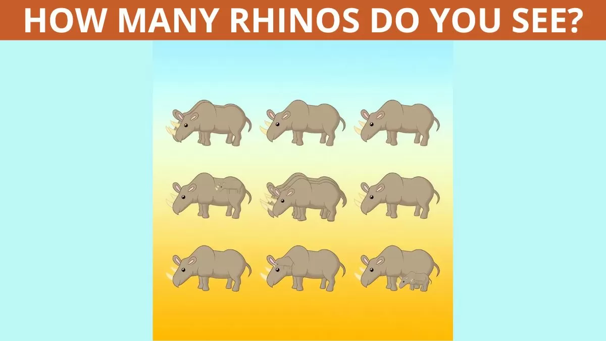 How many rhinos?