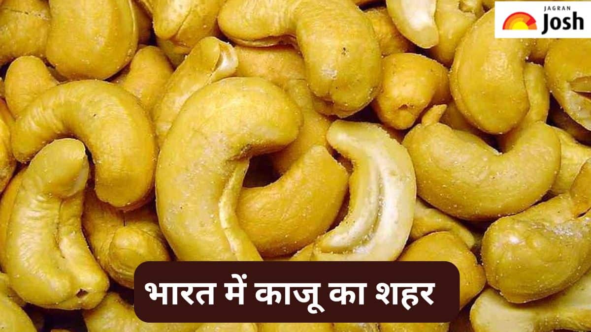 भारत के किस जिले को कहा जाता है काजू का शहर, जानें 
