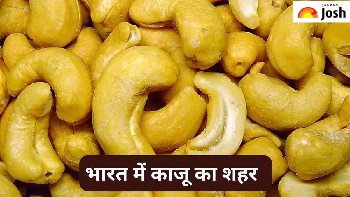 भारत में काजू का शहर 