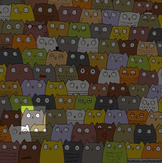 hidden picture puzzles with answers