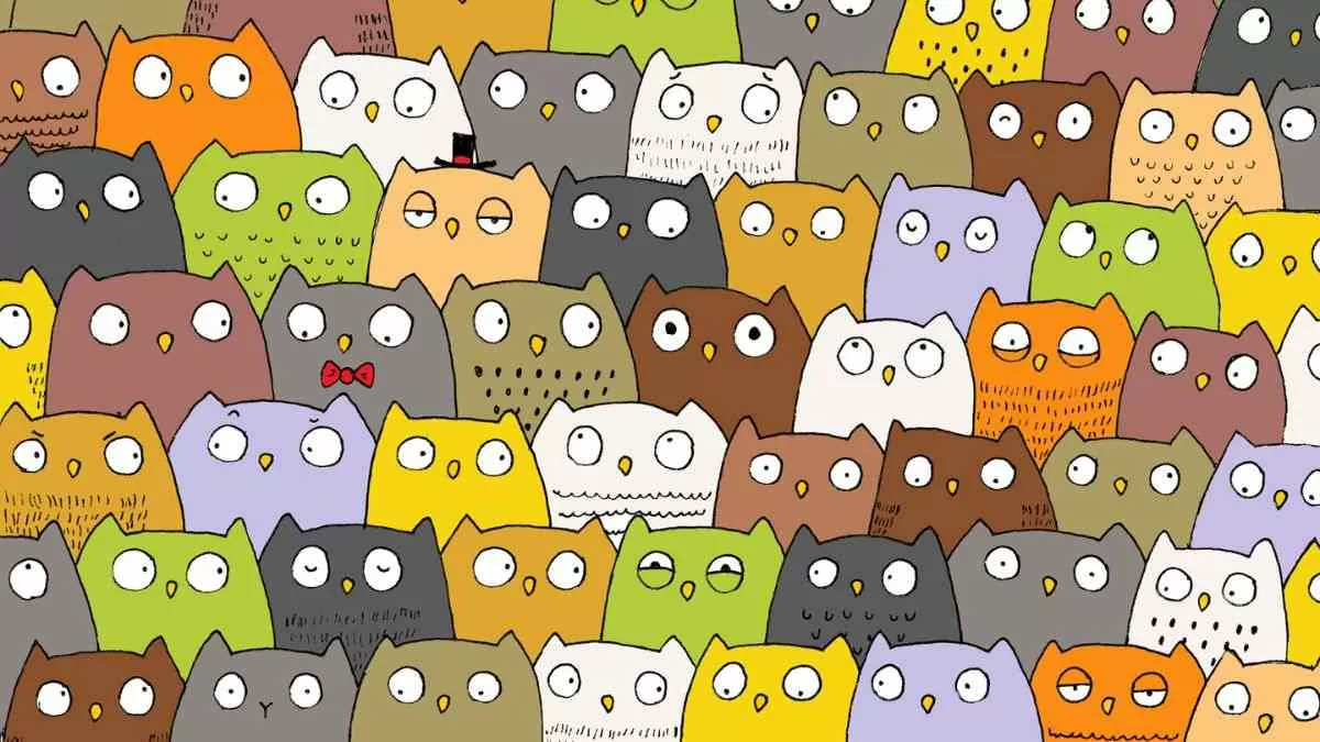 Spot The Cat.