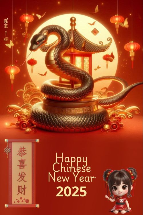 wishing happy chinese new year