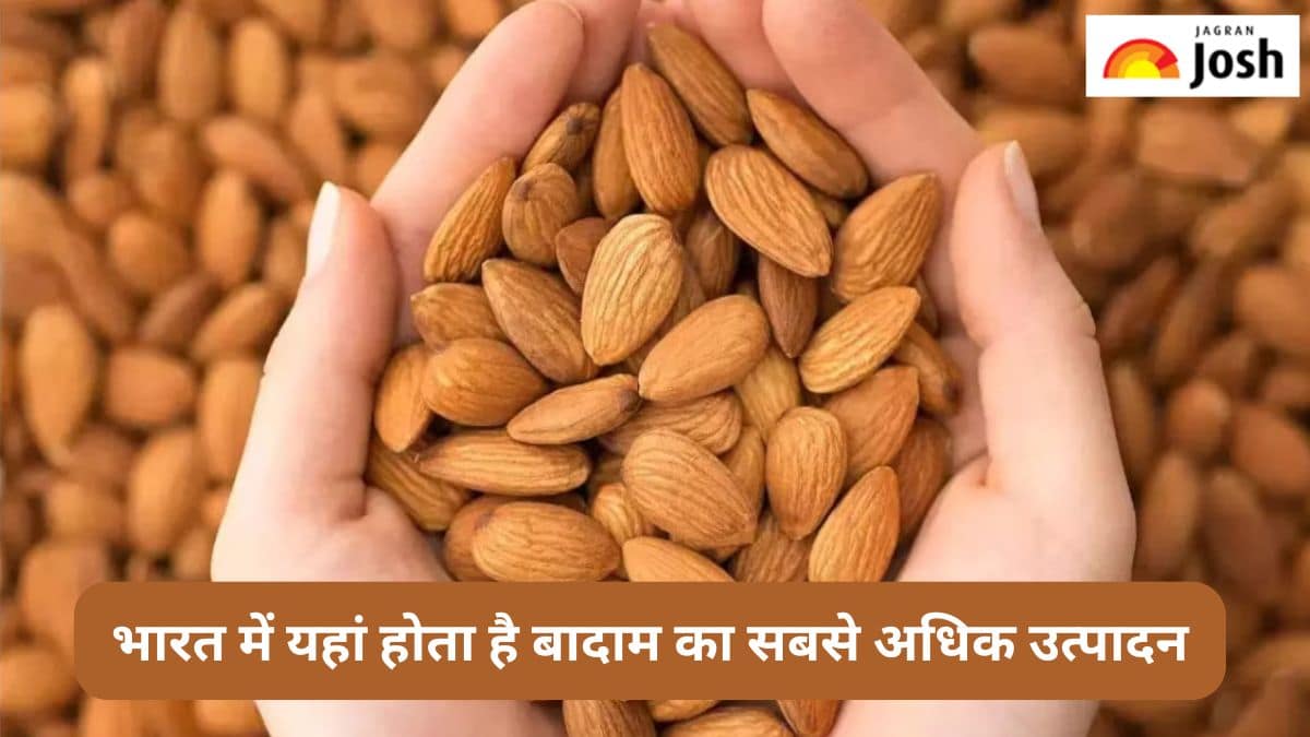 भारत में यहां होता है बादाम का सबसे अधिक उत्पादन, पढ़ें 