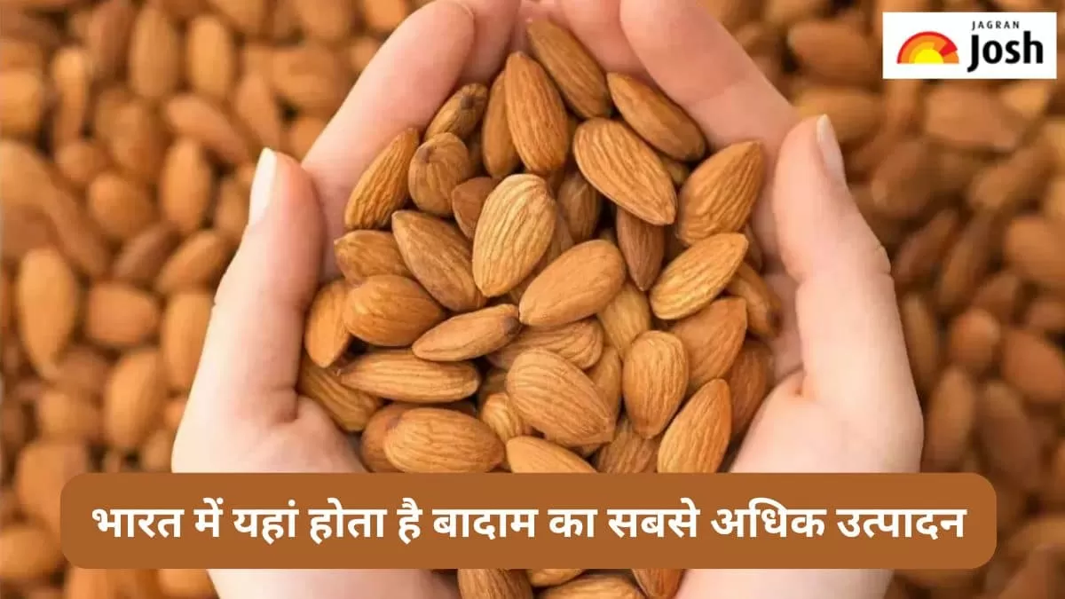 भारत में यहां होता है बादाम का सबसे अधिक उत्पादन
