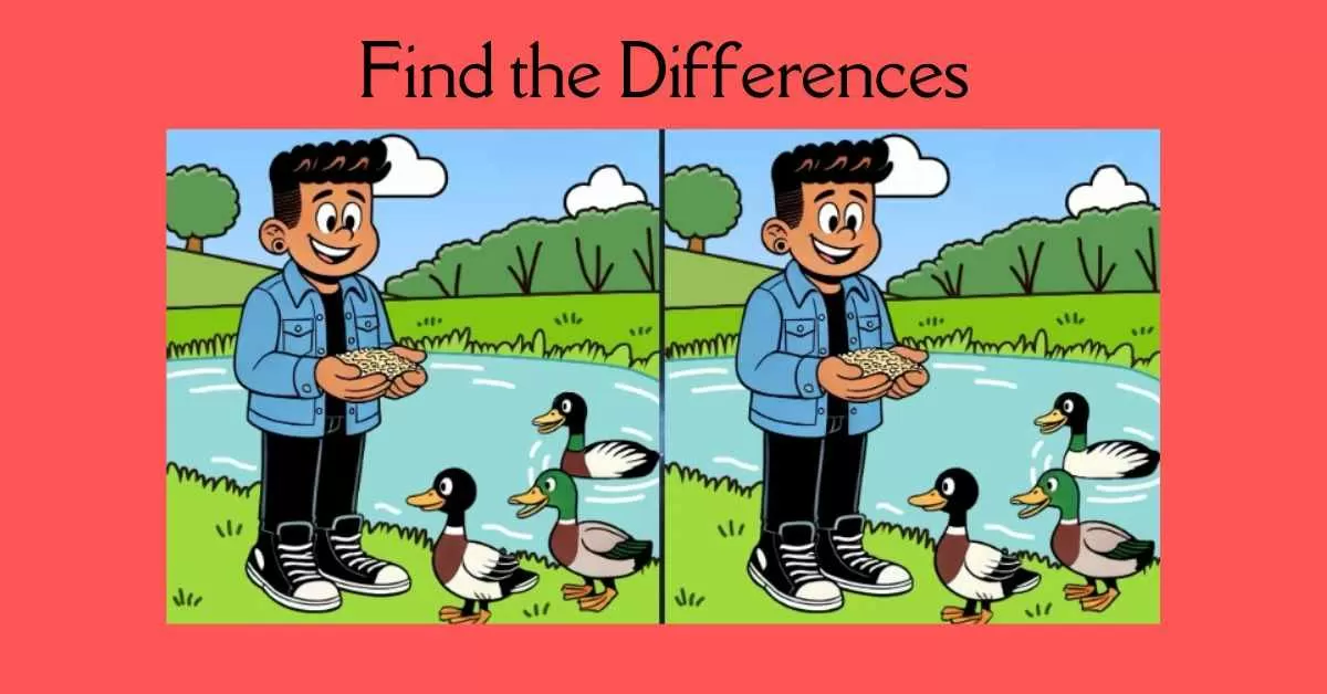 Spot the 3 Differences in Boy Feeding Ducks
