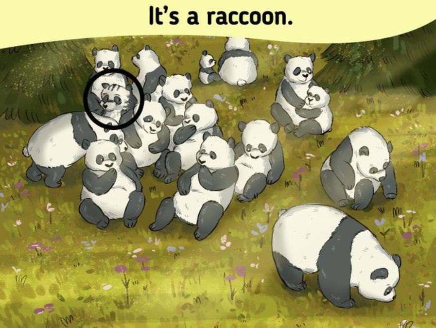 hidden optical illusions with answers