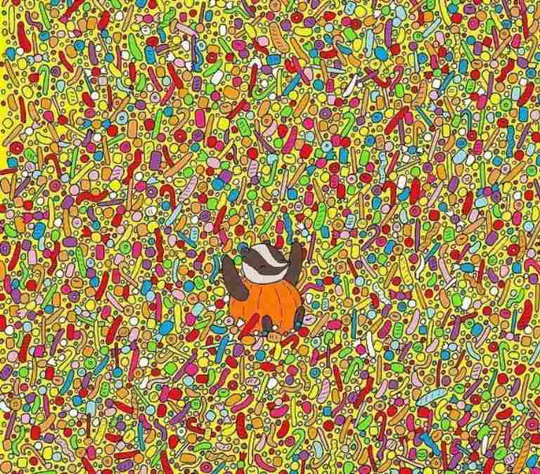 hidden picture puzzles with answers