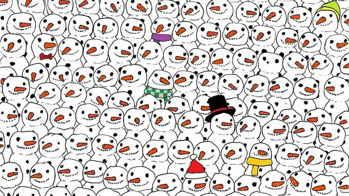 Find the panda