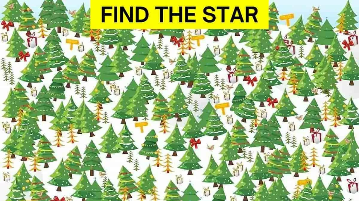 Find the star