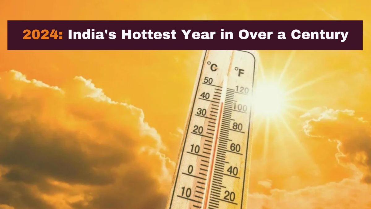 Global Warming Alert: 2024 Becomes India's Hottest Year in Over a Century