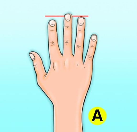 ring fingers personality test
