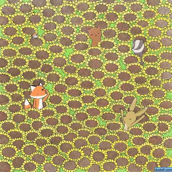 picture puzzles with answers