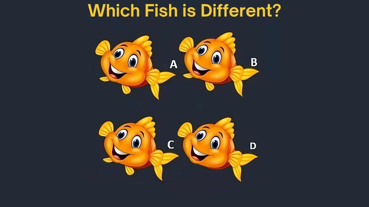 Which fish is different?