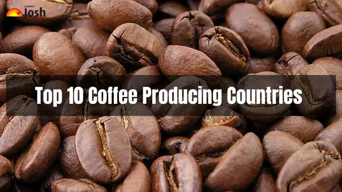 Top 10 Coffee Producing Countries 