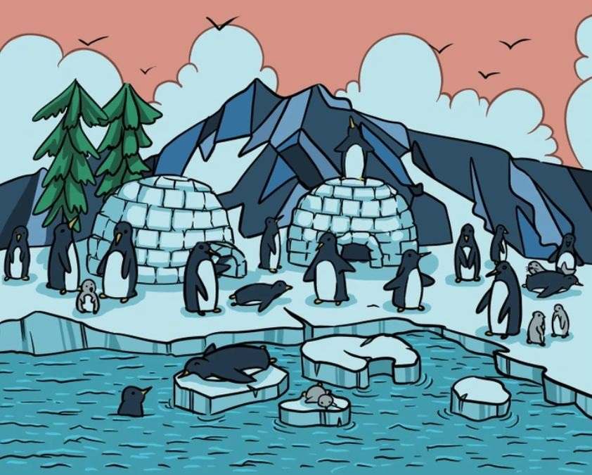 optical illusions with answers