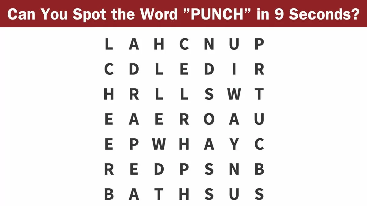 Find "PUNCH"