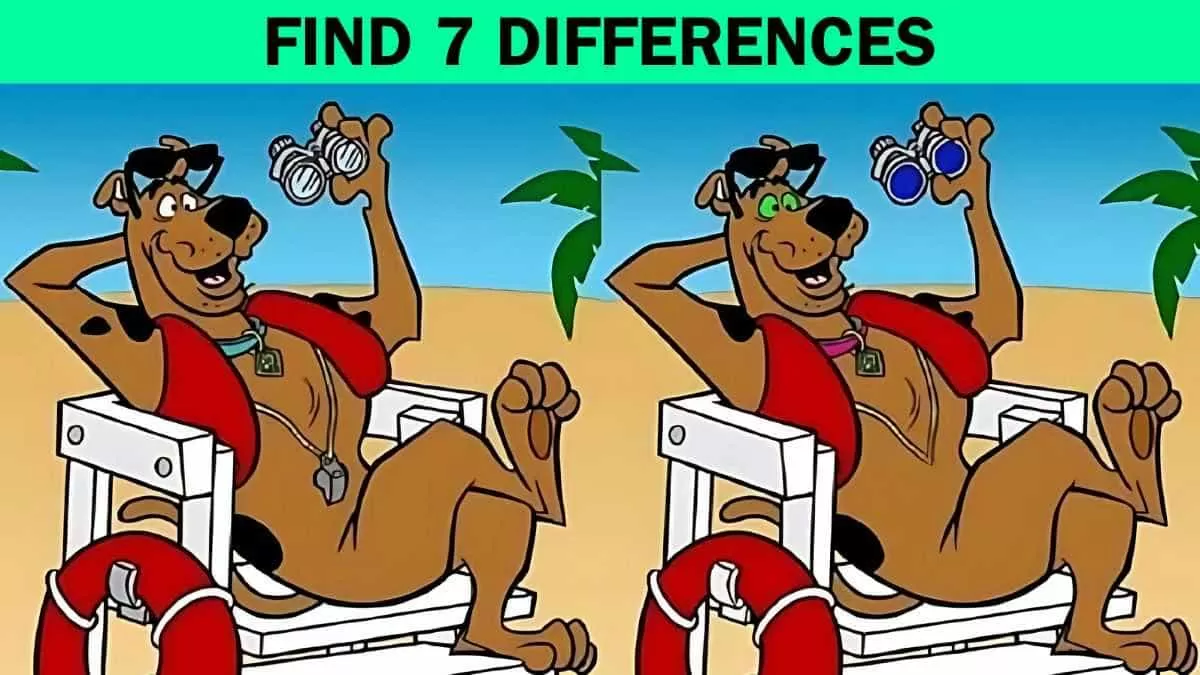 Find 7 Differences