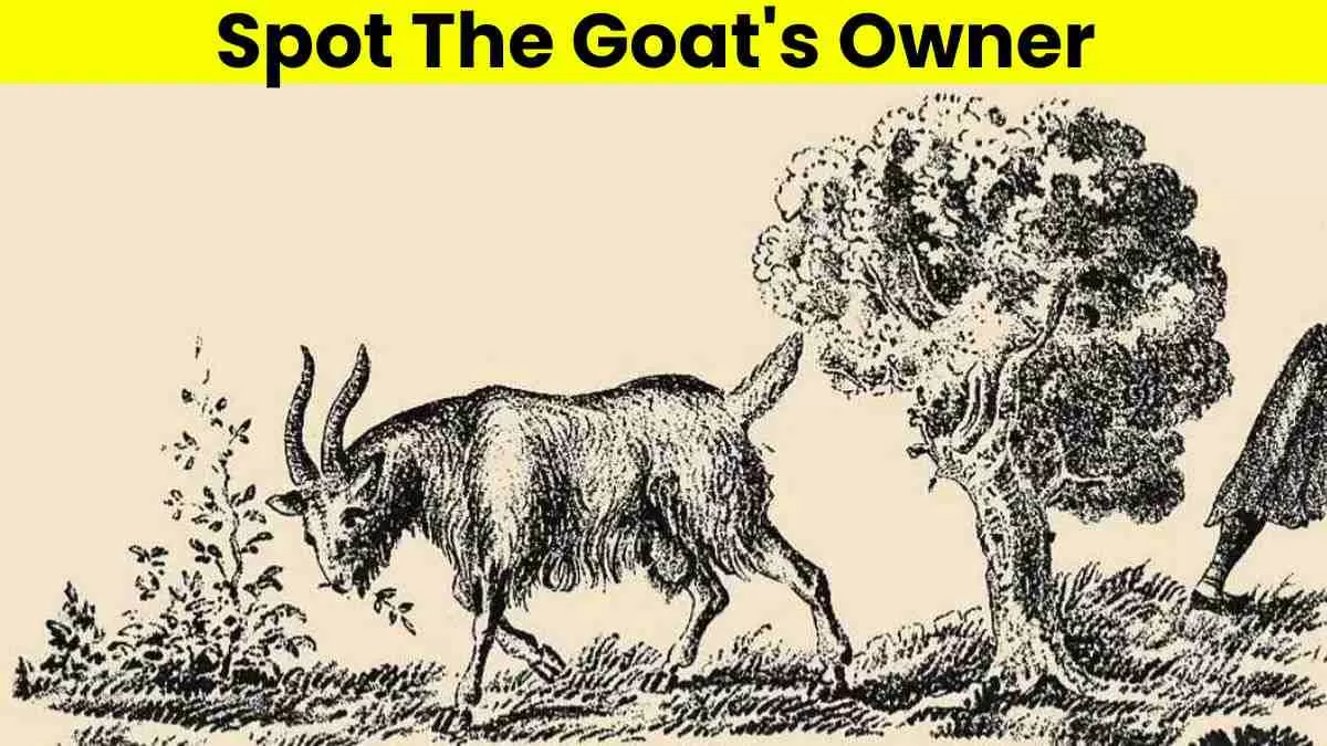 Spot the goat’s owner.