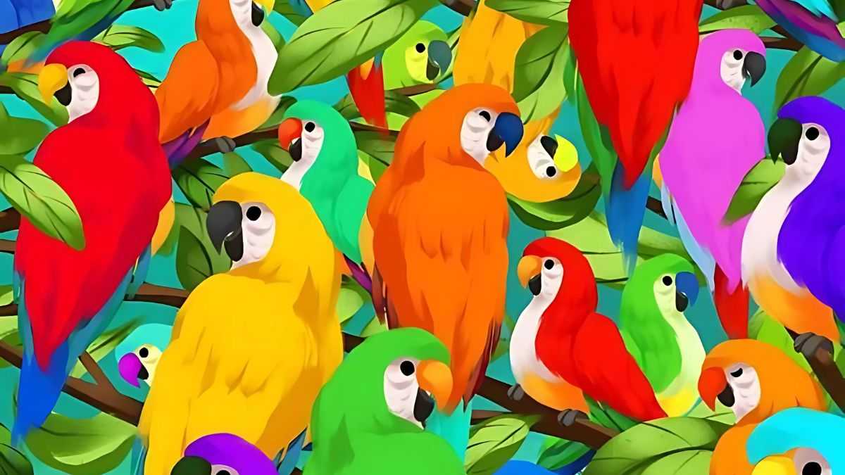 Optical Illusion: Where's the chameleon? You have 7 seconds to find it!
