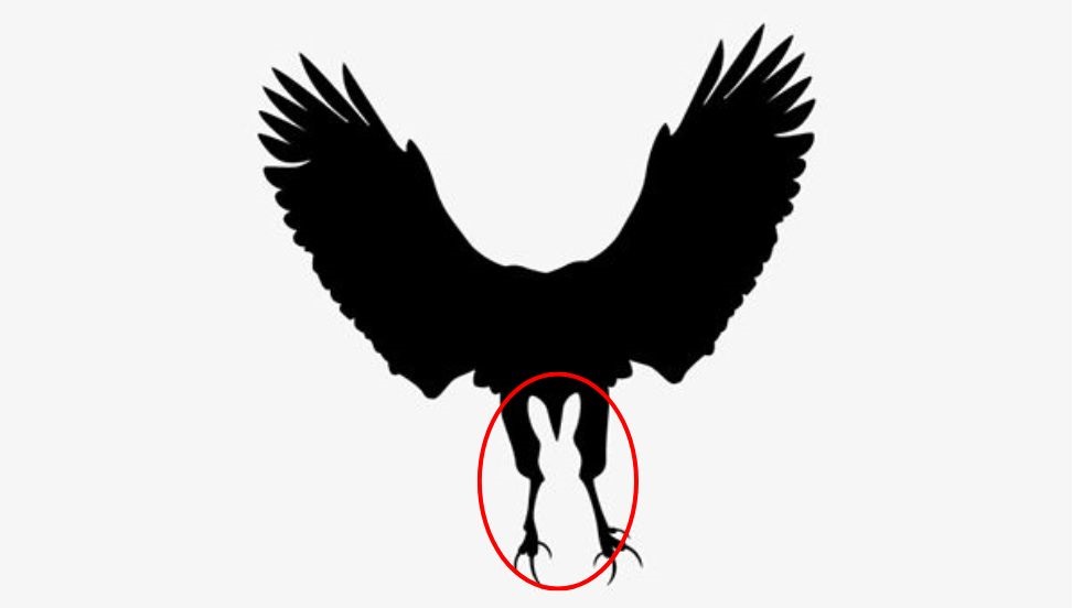 optical illusion personality test