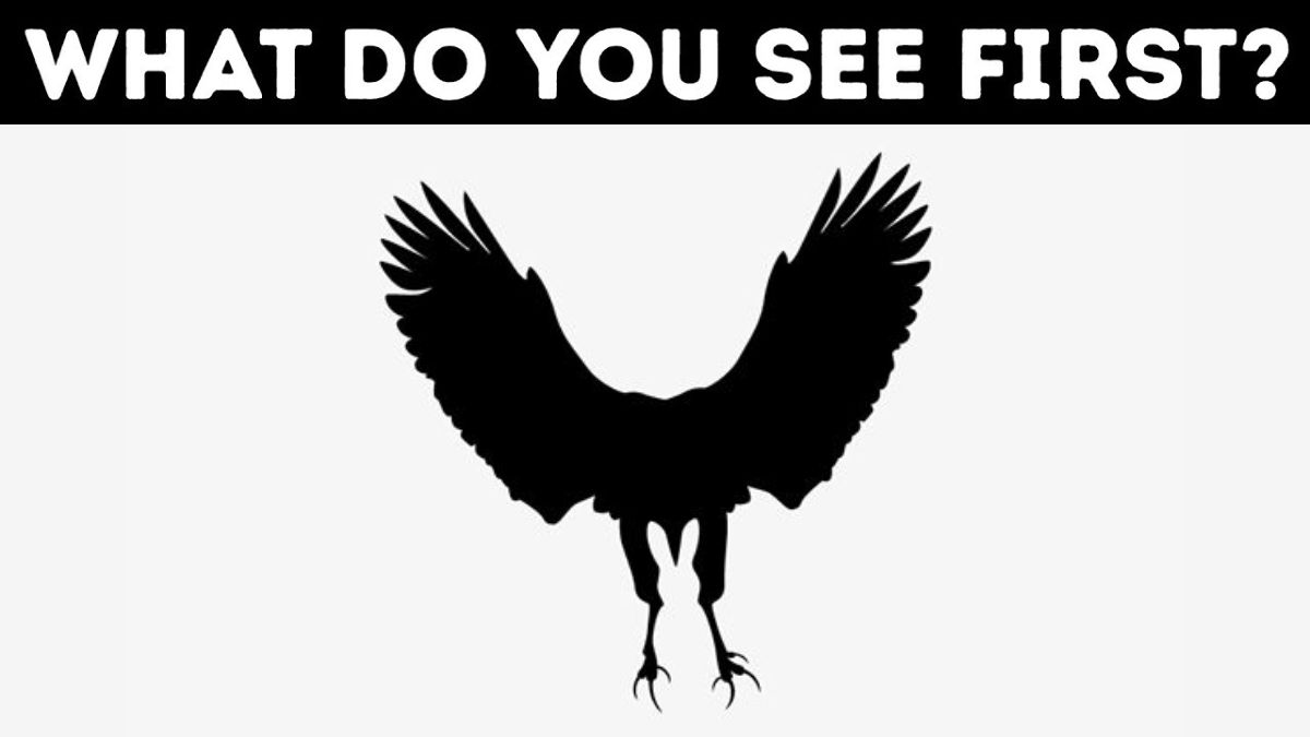 what you see first optical illusion personality test