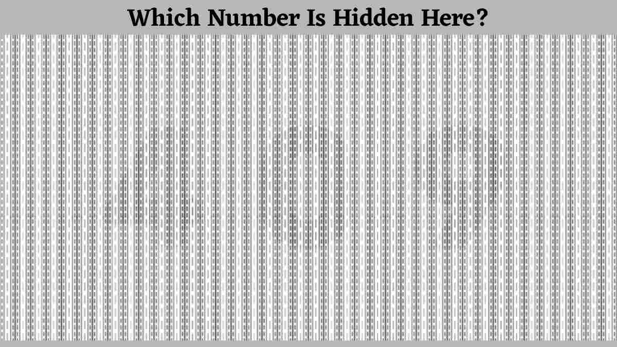 Optical Illusion Test: Using Your Detective Hawk-Vision, Find Which Number Is Hidden In This Visual Illusion in Just 5 Seconds!