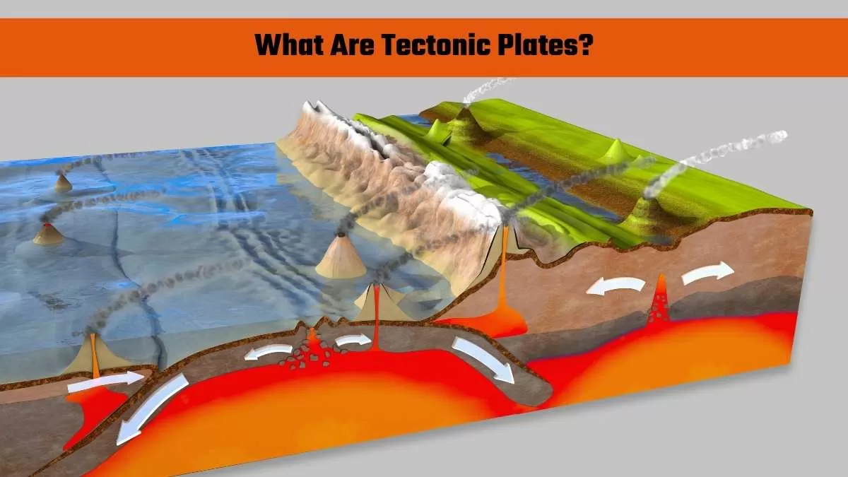 What Are Tectonic Plates