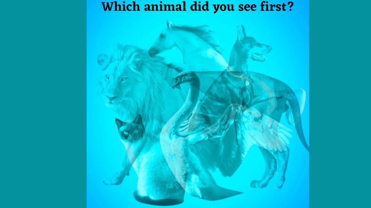 Which Animal Did You See First? Check Your Personality Types By Choosing Among These Animals!