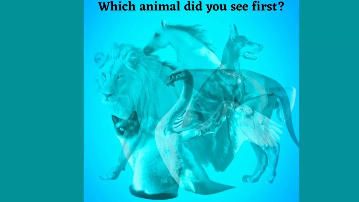 Which Animal Did You See First? Check Your Personality Types By Choosing Among These Animals!